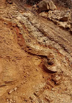 Arkansas: Blakley Sandstone