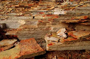 Arkansas: Blakley Sandstone