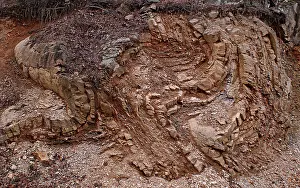 Arkansas: Blakley Sandstone