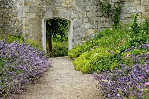 Wedding: Blankenburg Castle Park in the Harz Mountains