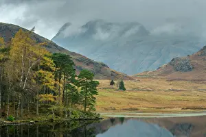 Cumbria: Blea Tarn in autumn, with birches and Scots Pine