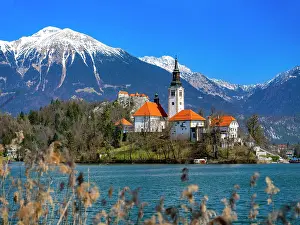 Defence: Bled Castle, St. Mary's Church, Pilgrimage Church of the Ass