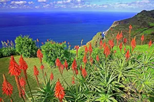 Cabo: Blick auf Atlantik, Aloen, Prazeres, Sadkaste, Insel Madeira