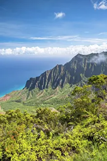 Lookout: Blick vom Kalalau Lookout ins Kalalau Valley, Kokee