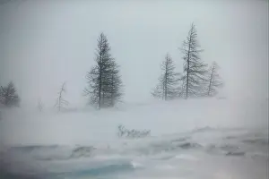 Blizzards: Blizzard. Churchill. Manitoba. Canada
