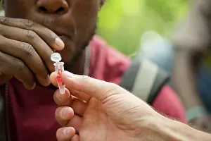 Scientist: Blood sample taken from a bird, Island of Montserrat