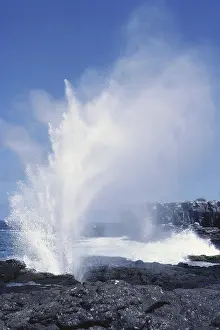 Blast: Blowhole, Hood Island, Galapagos