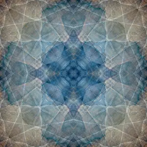 Kaleidoscope: Blue and brown abstract