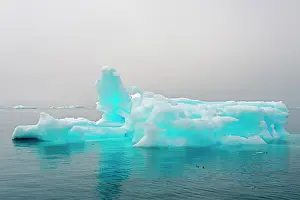 Narsarsuaq: Blue iceberg in the fjord of Narsarsuaq, Greenland