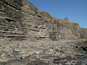 Lyme: Blue Lias cliffs
