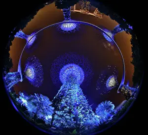 Weird: Blue lights of the futuristic Supertrees in the Supertre