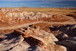 Strewn: Blue Mesa Badlands - eroded clay formations called