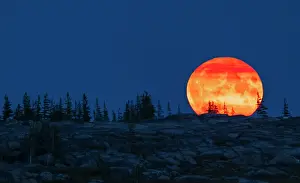 Moon: Blue moon rising over the arctic tundra