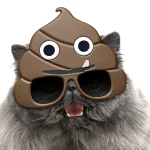 Shit: Blue Persian Cat mouth open wearing poo emoji sun-glasses