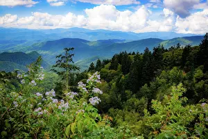Roadside: Blue Ridge Parkway vista, Smoky Mountains, USA