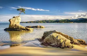 Abel: Blue sea with yellow rock shapes, and single tree