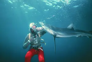 Attacks: BLUE SHARK