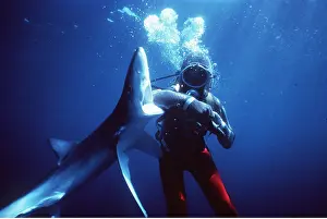 Attacks: BLUE SHARK - with scuba diver testing Chain Mail