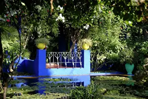 Moroccan: Blue terrace at pond hidden in green plants in the