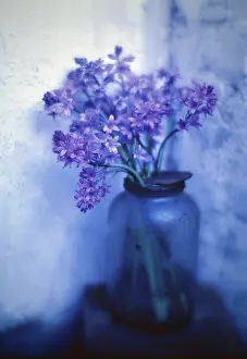 Sorrowful: Bluebell