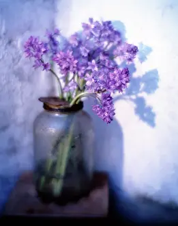 Container: Bluebell