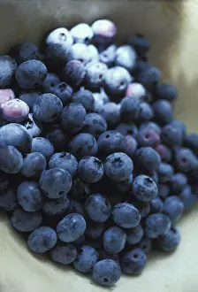 Blueberries: Blueberries in a bowl