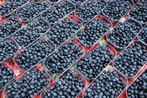 Blueberries: Blueberries - cultivated fruits at farmers market