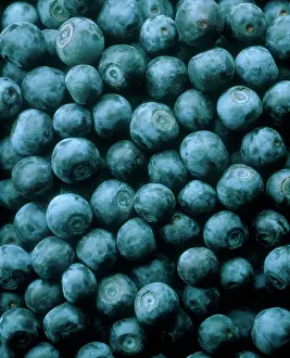 Bilberry: Blueberry