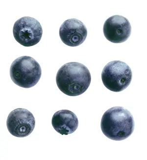 Bilberry: Blueberry