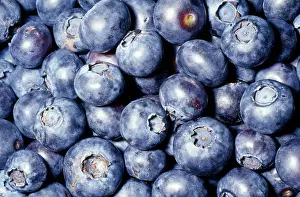 Blueberries: Blueberry - close up