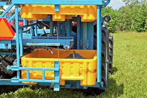 Blueberries: Blueberry Harvesting