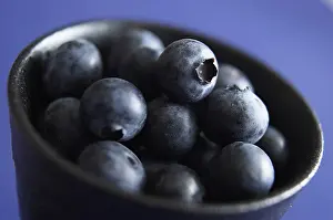 Superfood: Blueberry, Vaccinium corymbosum, Black subject