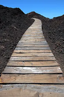 Plank: Boarded footpath through black lava field, Punta