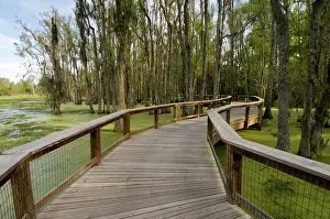 Railing: Boardwalk at Audubon Swamp Garden, outside