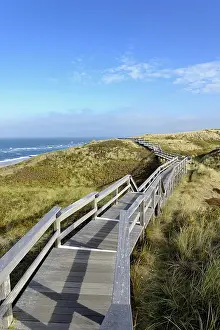 Boarded: The boardwalk leads through the dunes to the beach