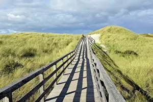 Contemplation: The boardwalk leads through the dunes to the beach