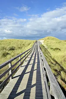 Contemplation: The boardwalk leads through the dunes to the beach