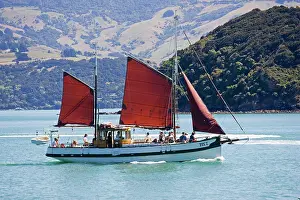 Cruises: Boat - Tourists on Fox II New Zealand's oldest