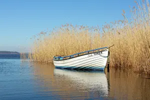 Idyllic: Boat Warthe