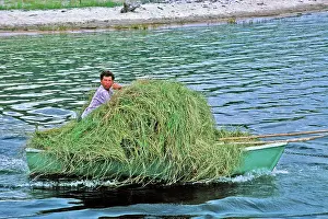 Farmer: Boatload of hay on Lake Baikal