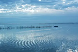 Valencia: Boatman in Albufera