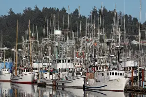 Ports: Boats in Harbor