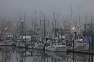 Ports: Boats in Harbor - in fog