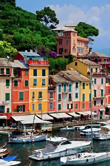 Moored: Boats moored in the tiny harbor of Portofino