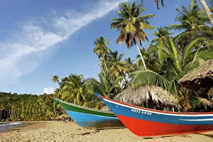 Medina: Boats - on sandy beach