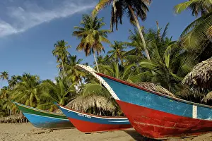 Medina: Boats - on sandy beach