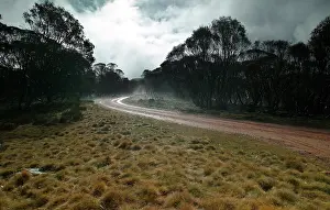 Bogong: Bogong High Plains road in winter. Bogong Section