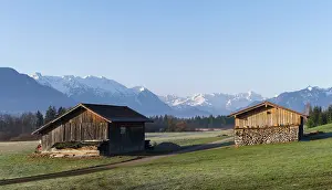 Bogs: The bogs of Murnau (Murnauer Moos) in the