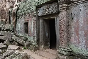 Religion: The Bohdi tree takes possession of the enchanted temple city