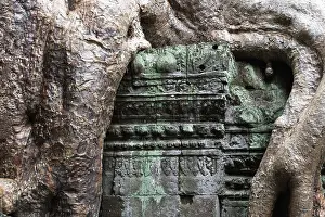 Religion: The Bohdi tree takes possession of the enchanted temple city